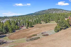 20XX Addy Gifford Rd, Addy, WA 99101 - #2