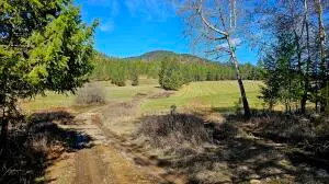 20XX Addy Gifford Rd, Addy, WA 99101 - #3