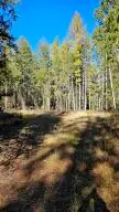 2XXX Addy Gifford Rd, Addy, WA 99101 - #3
