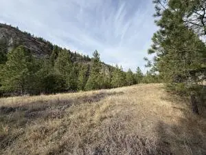 TBD Herron Creek Cut Off Rd, REPUBLIC, WA 99166