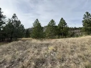 TBD Herron Creek Cut Off Rd, Republic, WA 99166 - #2