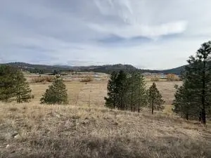 TBD Herron Creek Cut Off Rd, Republic, WA 99166 - #3