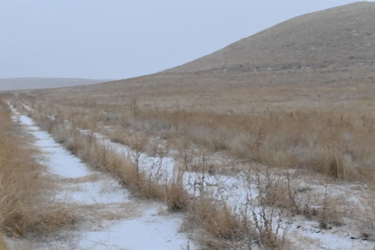 Tbd, Connell, WA 99326 - Image #1