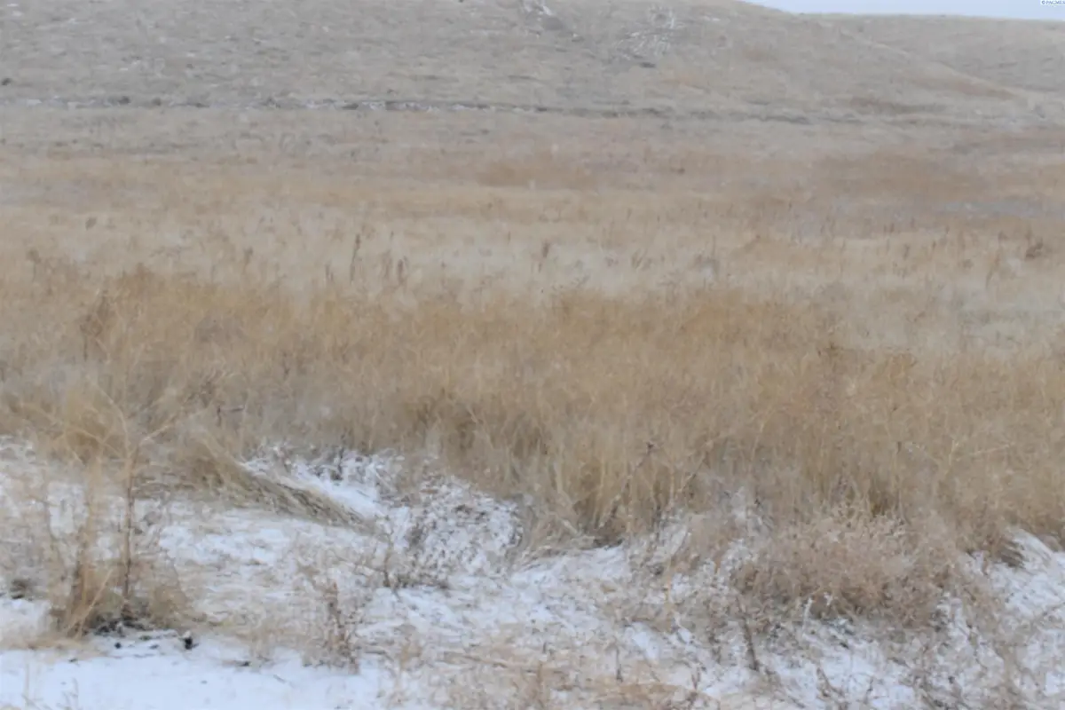 Tbd, Connell, WA 99326 - Image #1