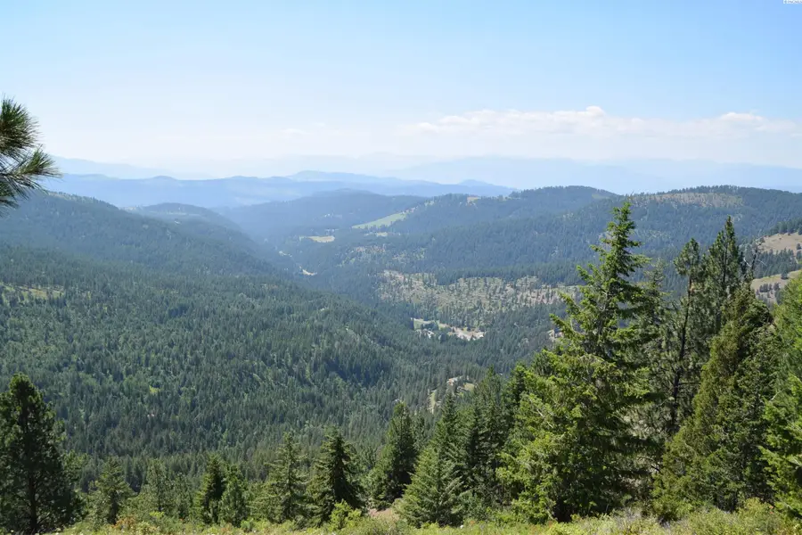 1555 Comstock Mine Rd, Colville, WA 99114 - #3