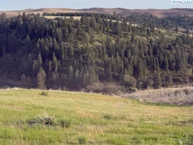 Lot 5 Red Tail Ridge, Colfax, WA 99111 - Image #1