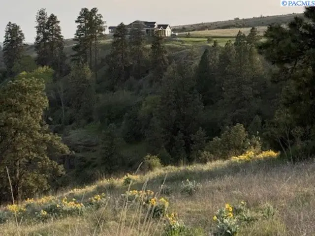 Lot 5 Red Tail Ridge, Colfax, WA 99111 - Image #3