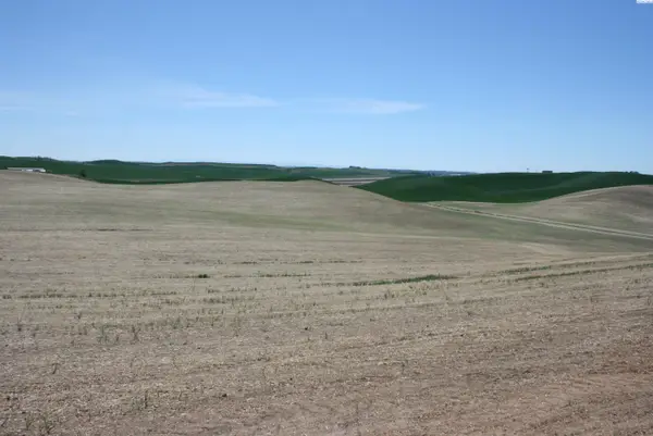 31 Golden Wheat Lane, Pullman, WA 99163