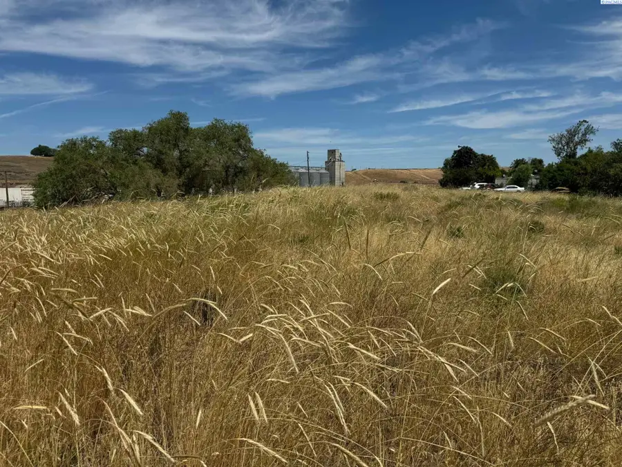 TBD 1st & Manton Way, Mesa, WA 99343 - Image #2