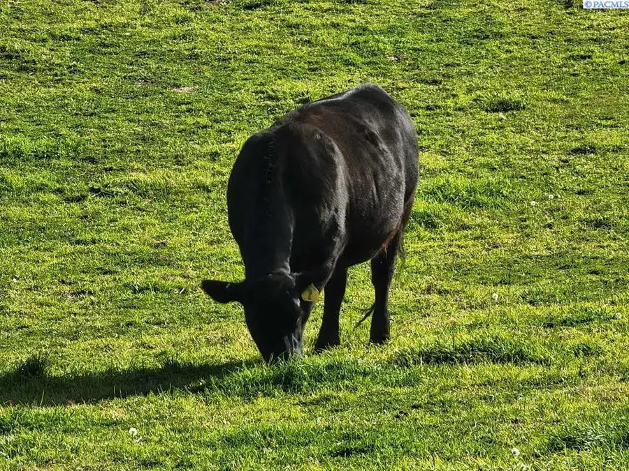 29404 S 816 Pr Se, Kennewick, WA 99338 - #3