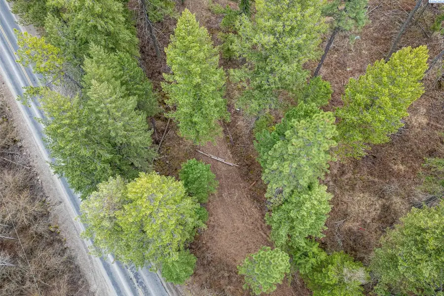 NKA E Deer Park Milan Rd, Other, WA 99003 - #2