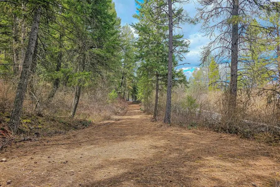 NKA E Deer Park Milan Rd, Other, WA 99003 - #3