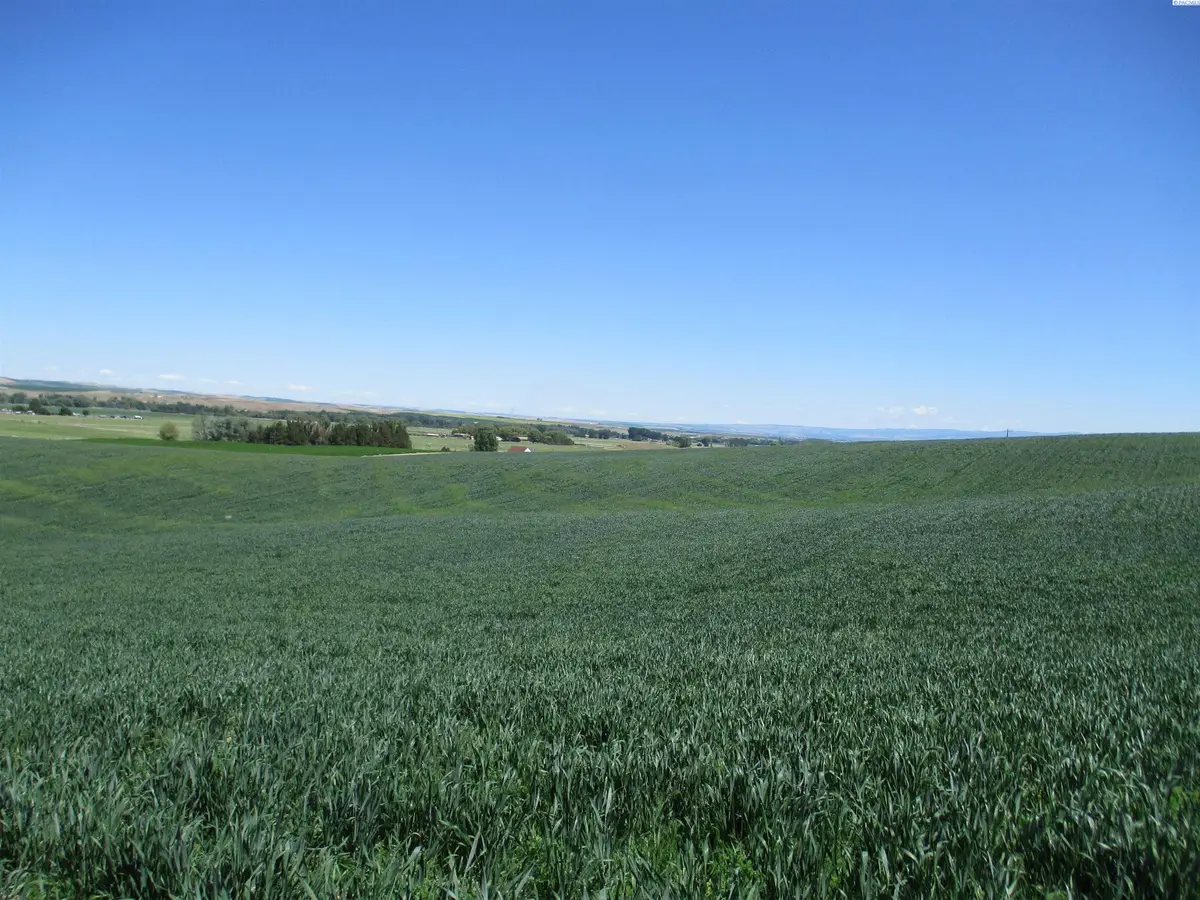 4285 Detour Road, Touchet, WA 99360 - Image #1