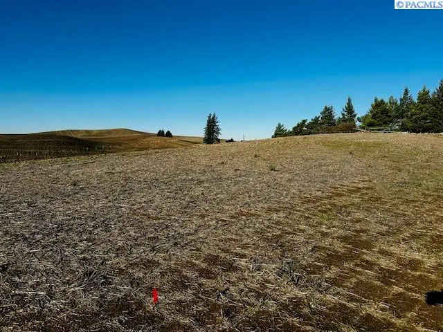 TBD 10th St. Land Only, Garfield, WA 99130 - Image #2