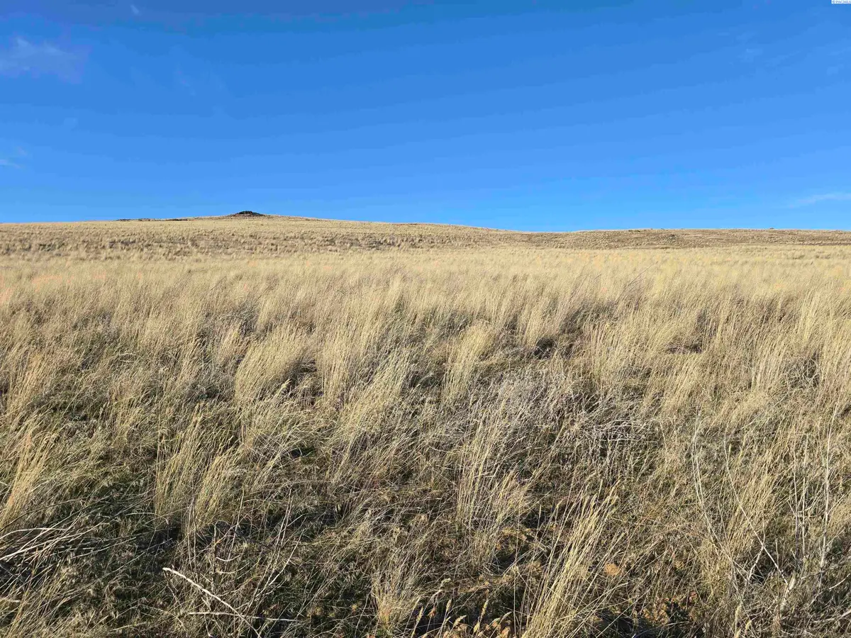 15287 Mabton Bickleton Rd, Mabton, WA 98935 - #1