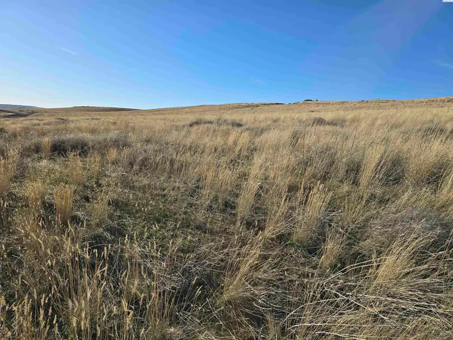 15287 Mabton Bickleton Rd, Mabton, WA 98935 - #3