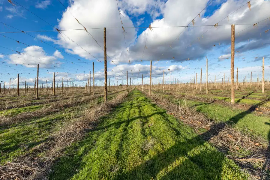 TBD W North River Rd, Prosser, WA 99350 - #3