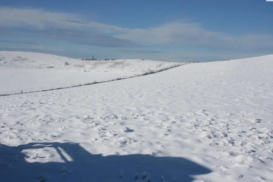 1283 Kitzmiller, Pullman, WA 99163 - #2