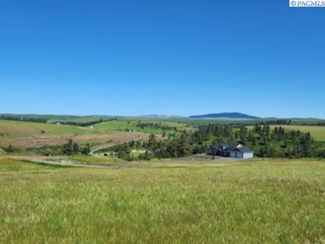 Lot 9 Red Tail Ridge, Colfax, WA 99111 - #2