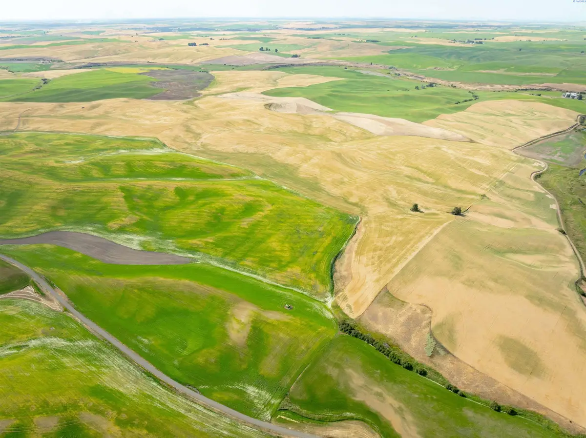 TBD Bongarts Rd, Oakesdale, WA  - #1