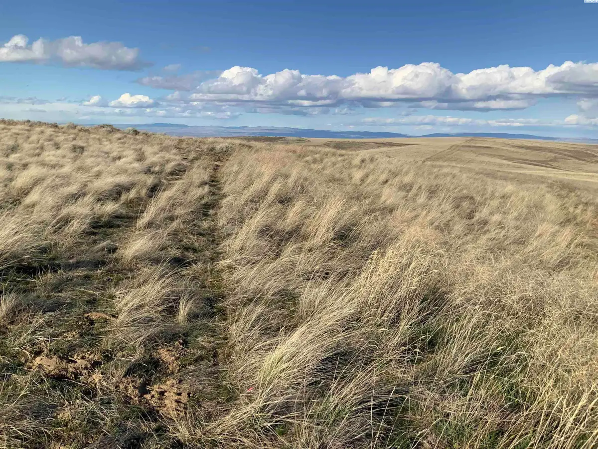 15283 Mabton-bickleton Rd, Mabton, WA 98935 - #1