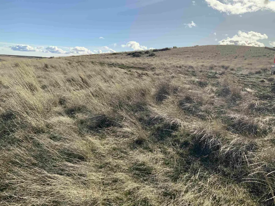 15283 Mabton-bickleton Rd, Mabton, WA 98935 - #2