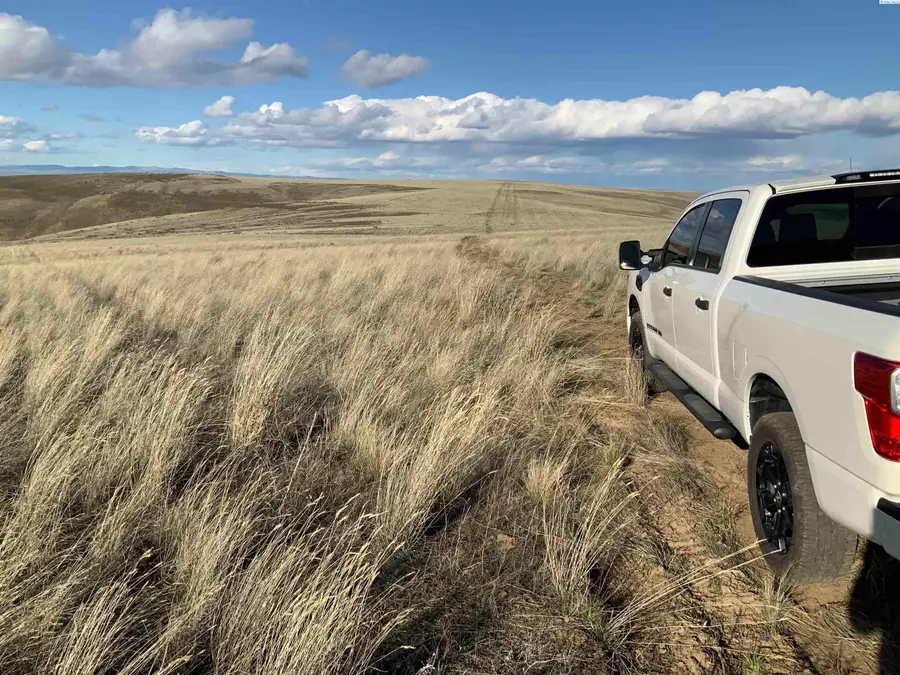 15283 Mabton-bickleton Rd, Mabton, WA 98935 - #3