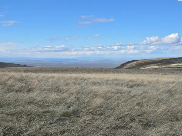 15281 Mabton- Bickleton Rd, Mabton, WA 98935