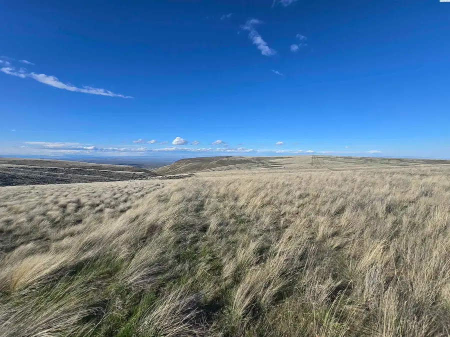 15281 Mabton- Bickleton Rd, Mabton, WA 98935 - #3