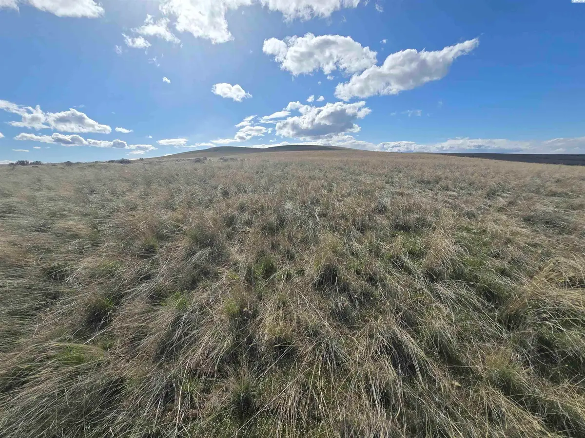 15282 Mabton-bickleton Rd, Mabton, WA 98935 - #1