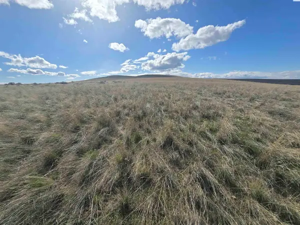 15282 Mabton-bickleton Rd, Mabton, WA 98935