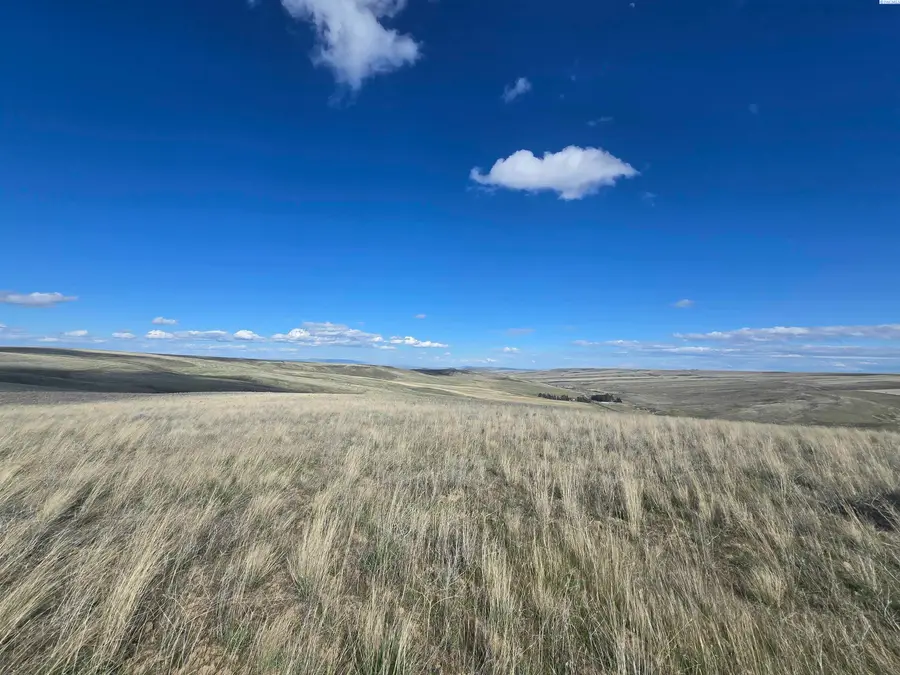 15282 Mabton-bickleton Rd, Mabton, WA 98935 - #2