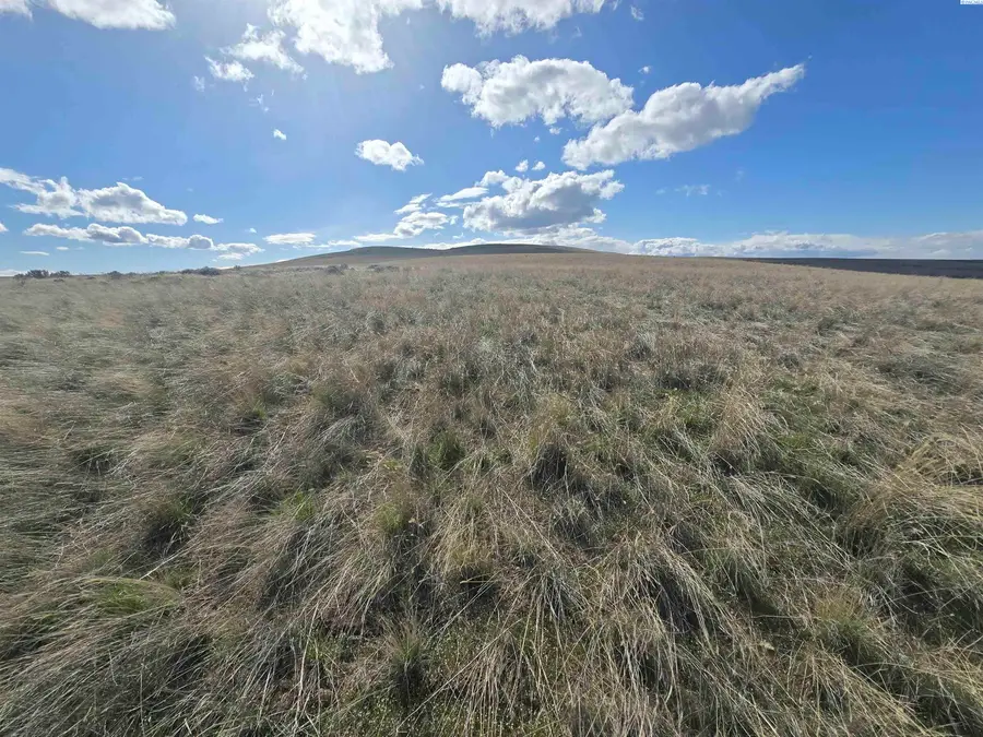 15282 Mabton-bickleton Rd, Mabton, WA 98935 - #3