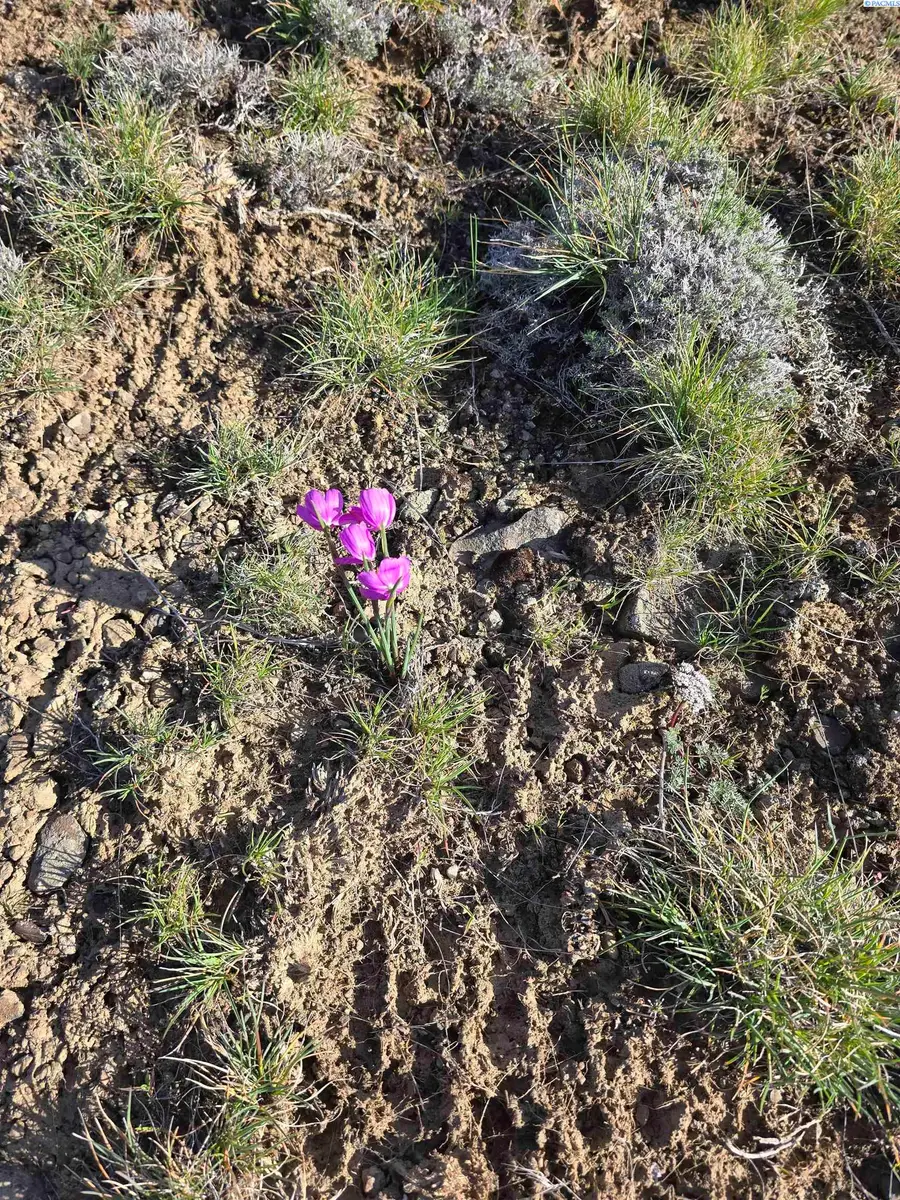 15285 Mabton-bickleton Rd, Mabton, WA 98935 - #3