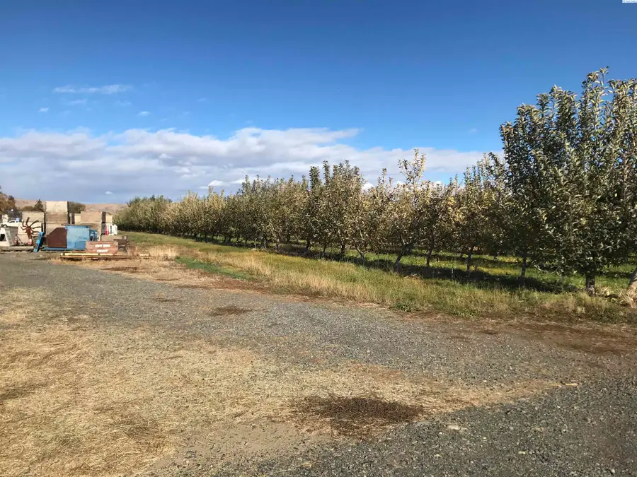 NKA Lateral B Road, Wapato, WA 98951-0000 - #3