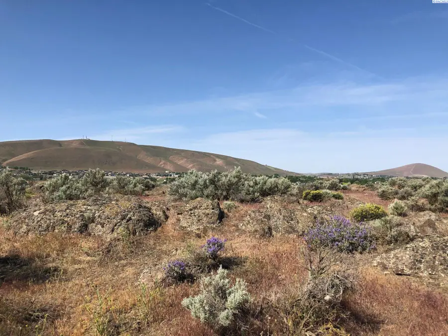 1009 Sunhaven Place, Richland, WA 99352 - #2