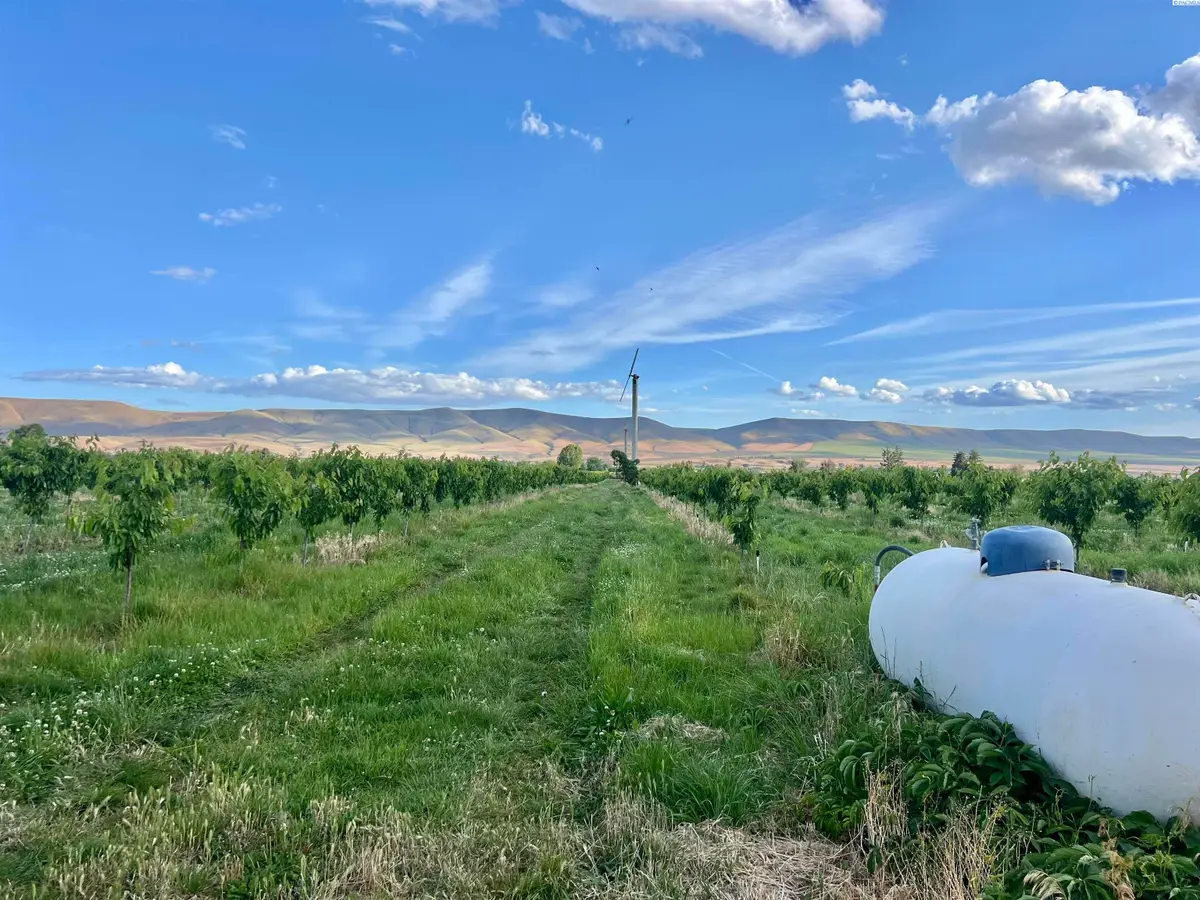 TBD Robinson Rd, Grandview, WA 98930 - #1