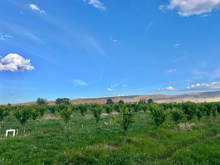 TBD Robinson Rd, Grandview, WA 98930 - #3
