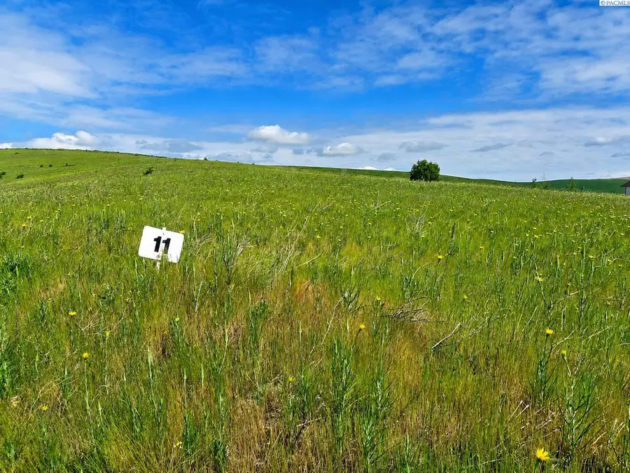 Lot 11 Red Tail Ridge, Colfax, WA 99111 - #2