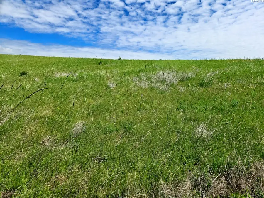 Lot 11 Red Tail Ridge, Colfax, WA 99111 - #3
