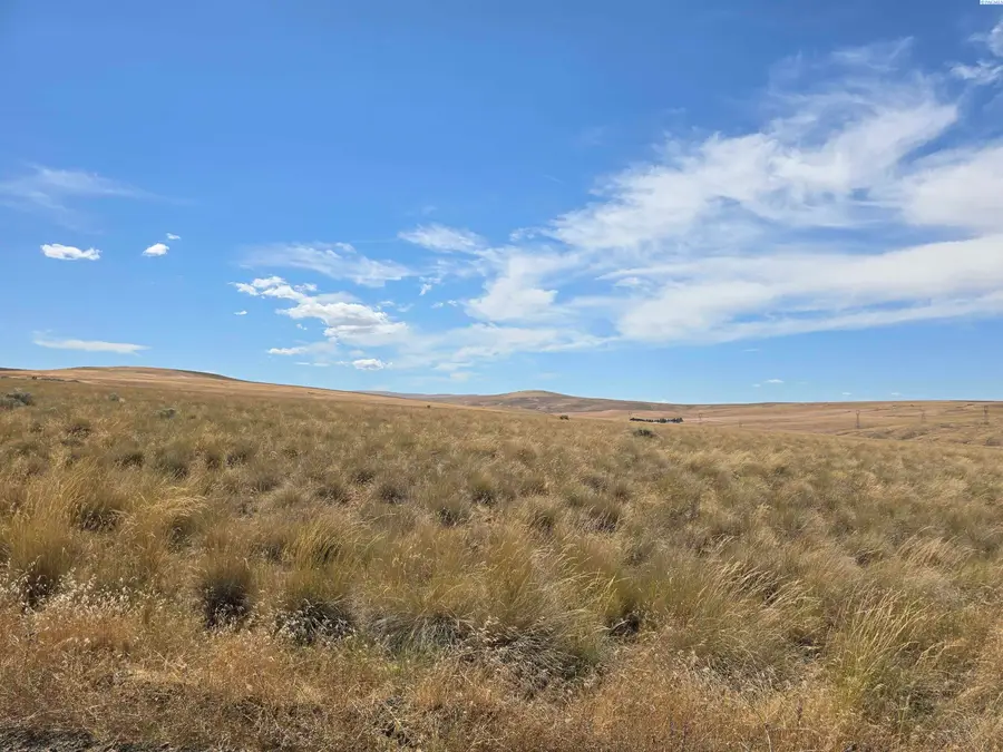 Lot 6 Turpin Rd, Mabton, WA 98935 - #3