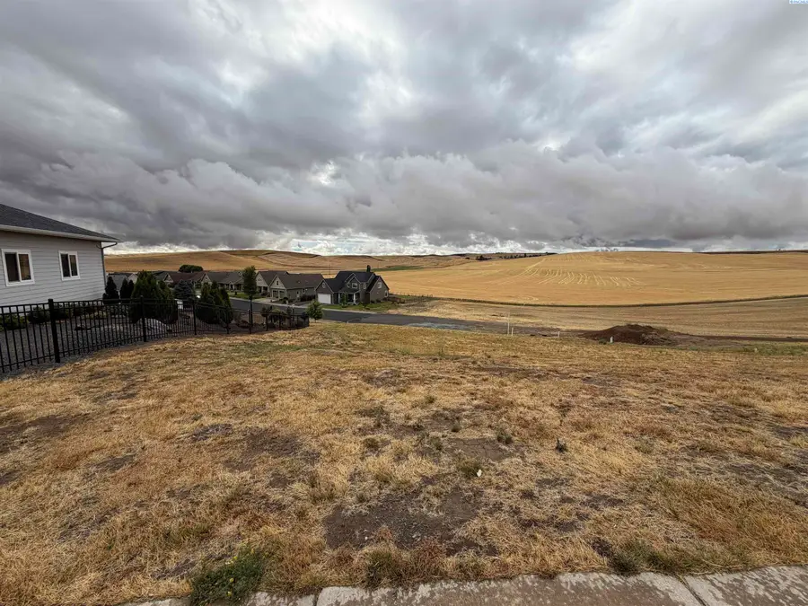 1123 Line Court, Colton, WA 99113 - #3