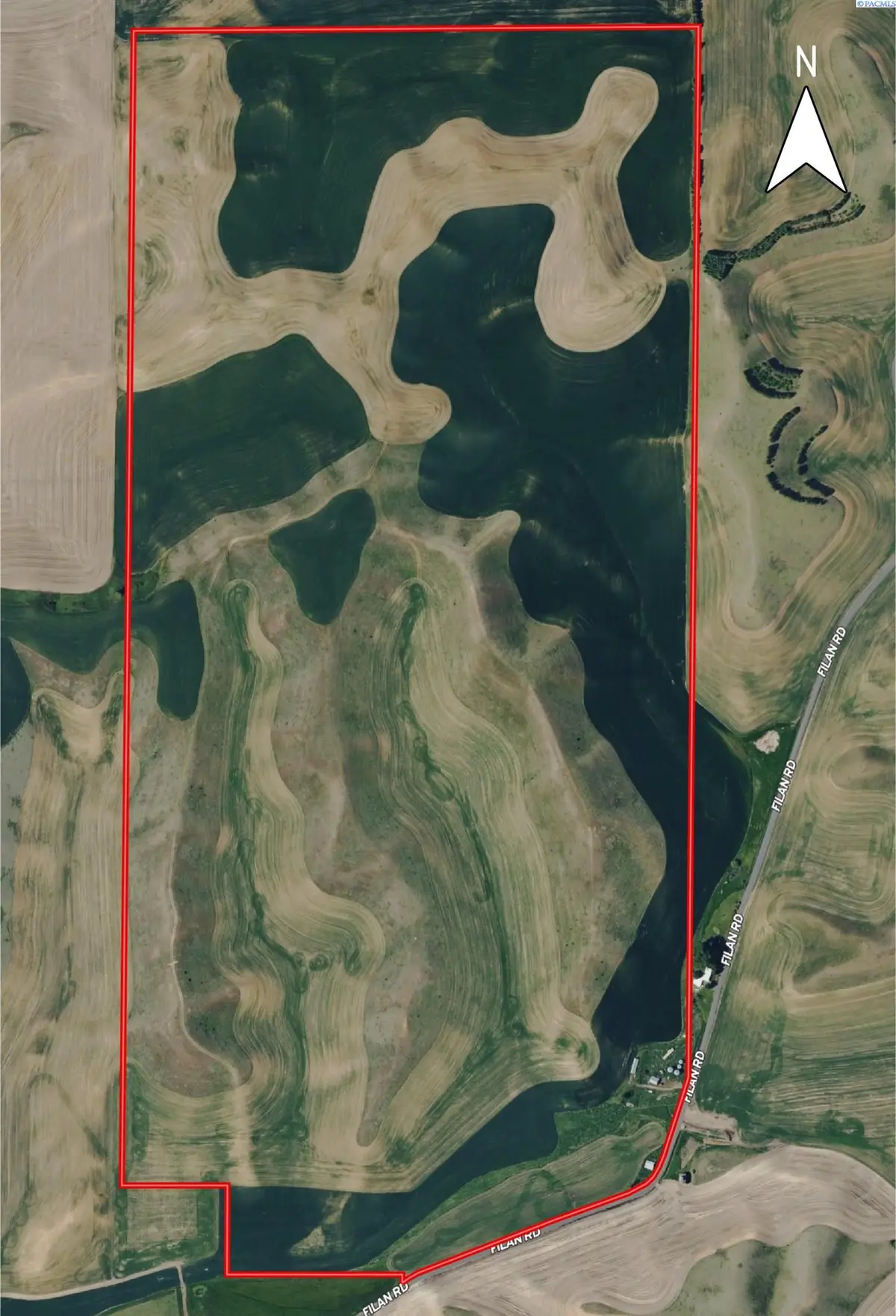 NKA Filan Rd., Colfax, WA 99111 - #1