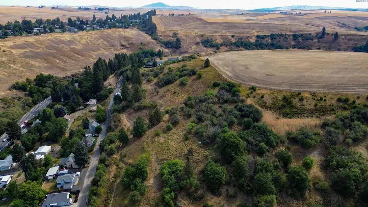 TBD Fairview, Colfax, WA 99111-0000 - #1
