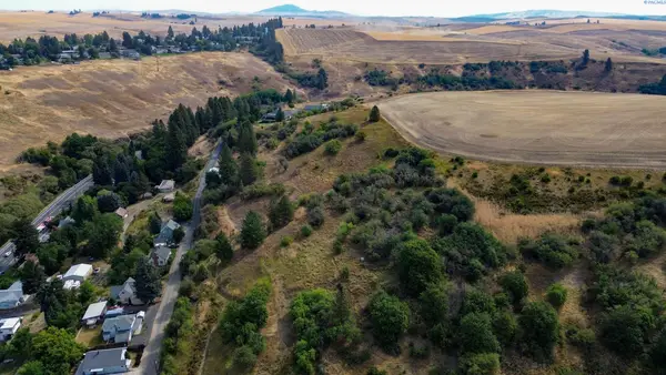 TBD Fairview, Colfax, WA 99111-0000