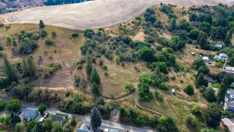 TBD Fairview, Colfax, WA 99111-0000 - #2