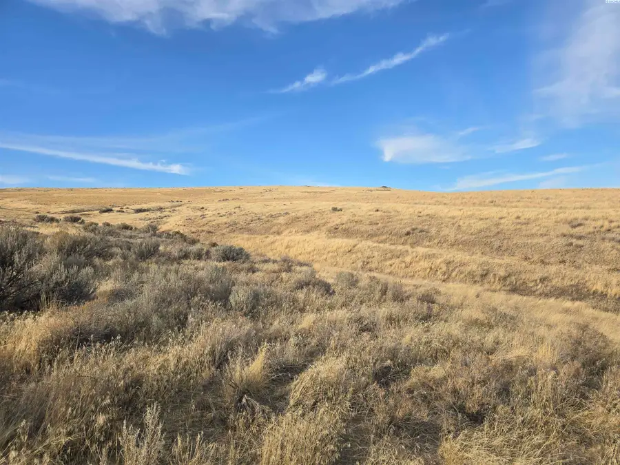 15687 Mabton- Bickleton Hwy Lot 7, Mabton, WA 98935 - #2