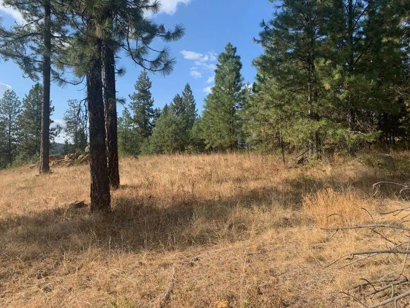 1618 Palmer Loop, Chewelah, WA 99109 - Image #3