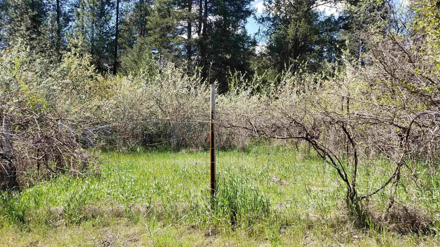 25055 395 N. Hwy, Kettle Falls, WA 99141 - Image #3
