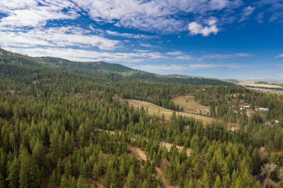 179XX E Belmont Rd, Mica, WA 99023 - Image #2